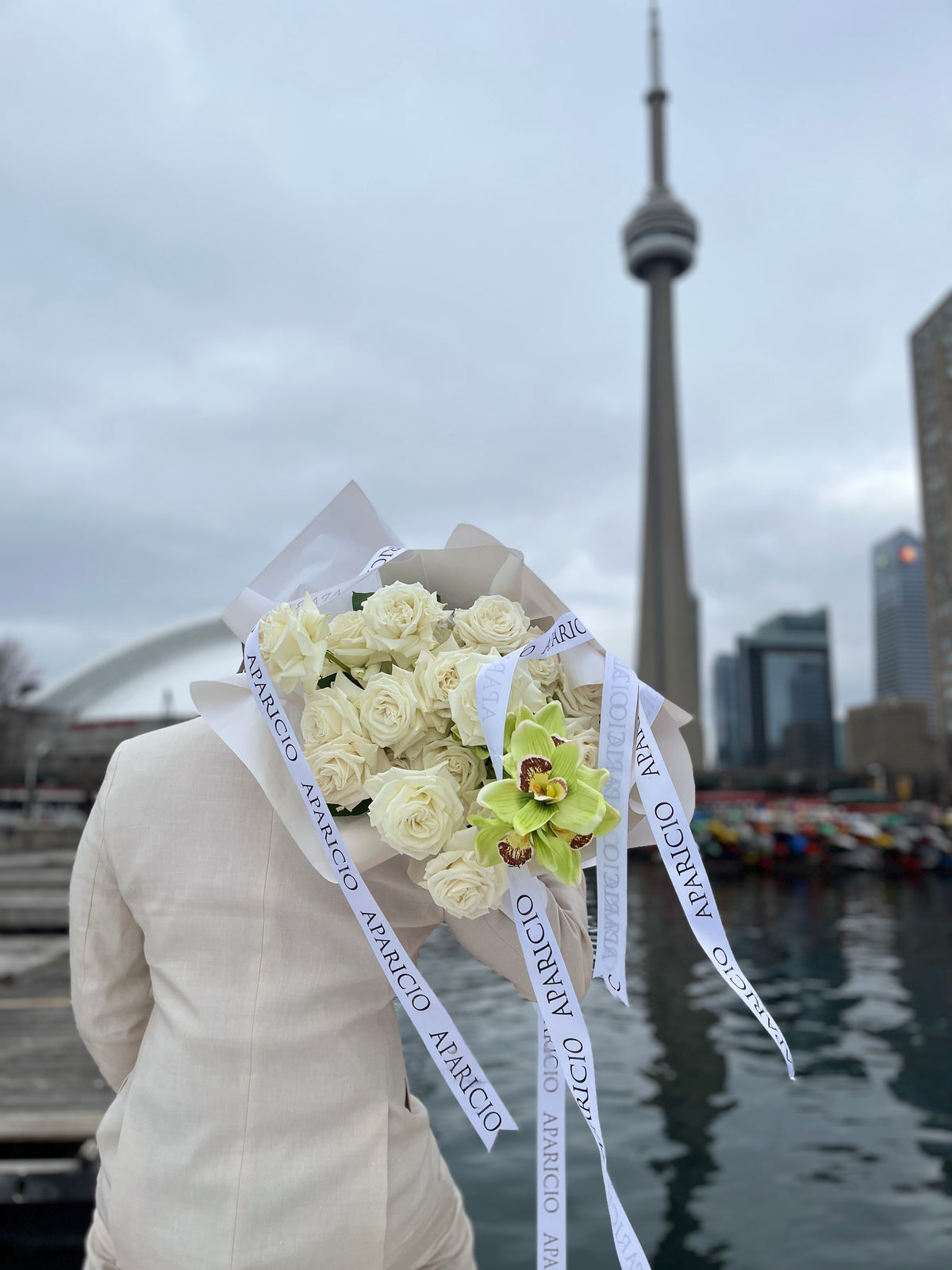 Winter in Toronto