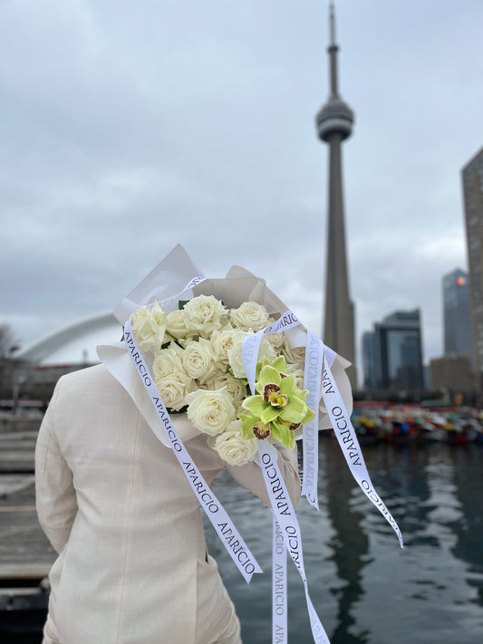 Winter in Toronto